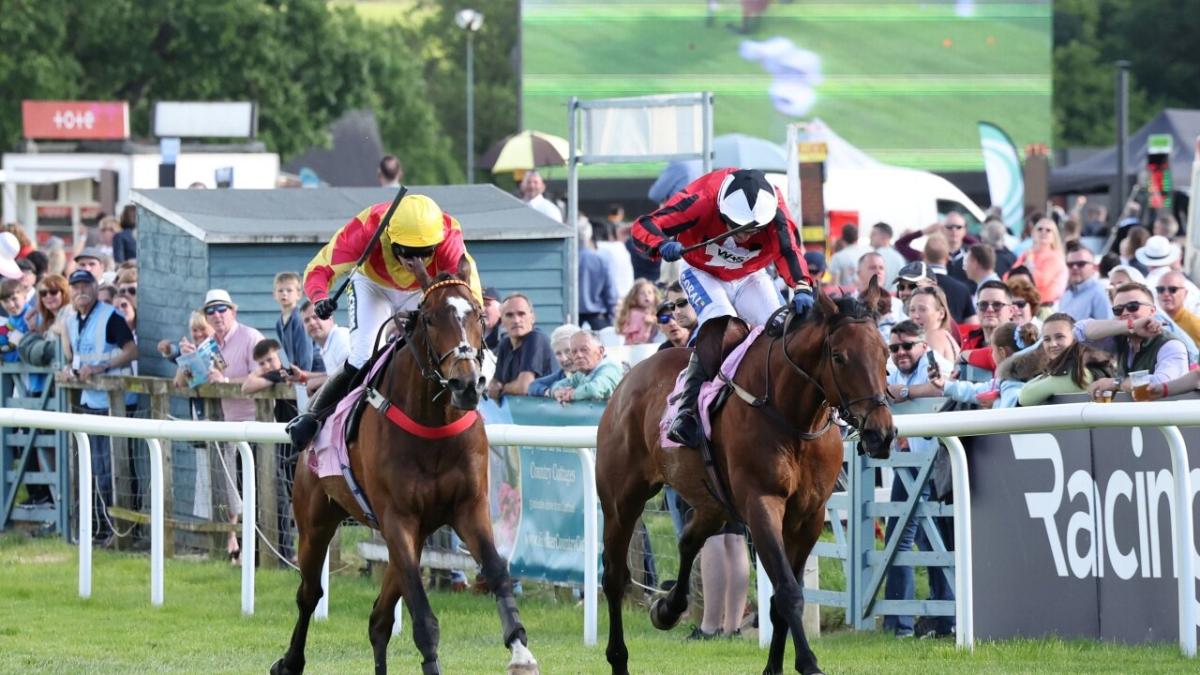 Daily Racing Multiple
